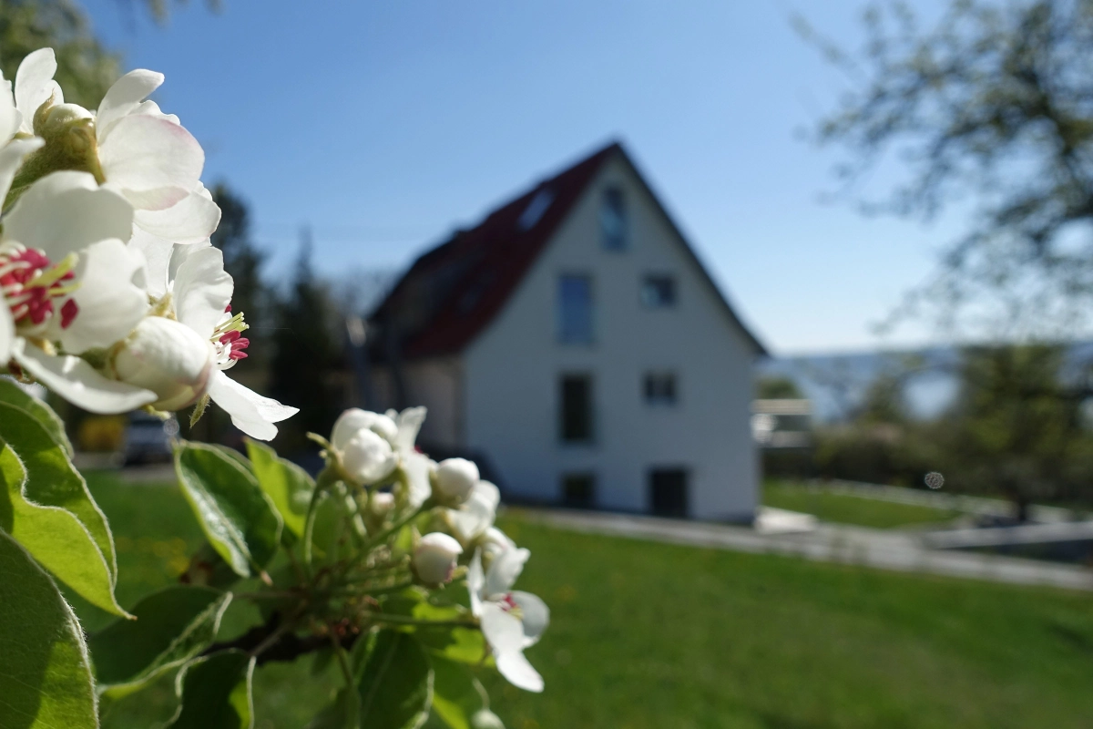 Ferienwohnung suessenmühle ansicht v2